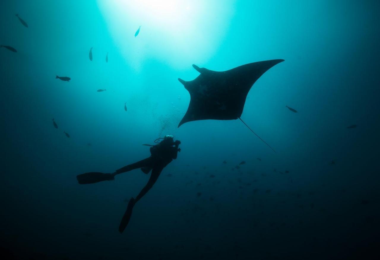 Tilar Siro Andamans - A Cgh Earth Experience 호텔 Govind Nagar 외부 사진